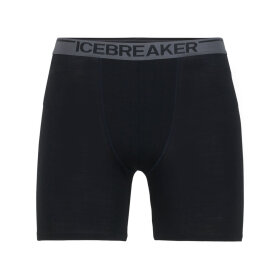 ICEBREAKER  - ICEBREAKER HERRE ULDUNDERTØJ M ANATOMICA LONG BOXERS