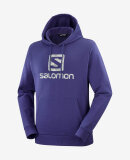 SALOMON - SALOMON HOODIE U OUTLIFE LOGO PULLOVER HOODY