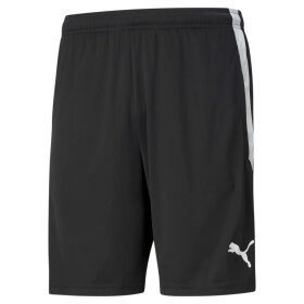 PUMA DENMARK - M TEAMLIGA TRAINING SHORTS