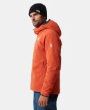 THE NORTH FACE - The North Face herre vandrejakke l3 ventrix hoodie jacket