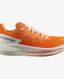 SALOMON - SALOMON HERRE LØBESKO SPECTUR BLAZING ORANGE 