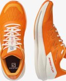 SALOMON - SALOMON HERRE LØBESKO SPECTUR BLAZING ORANGE 