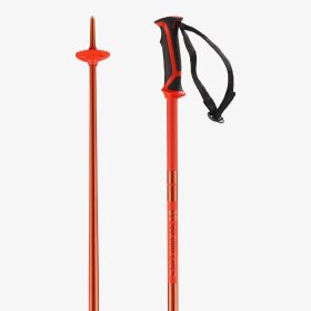 SALOMON - SALOMON ALPIN SKISTAVE ARCTIC POLES 