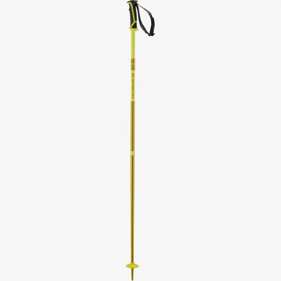 SALOMON - SALOMON ALPIN SKISTAVE ARCTIC POLES 