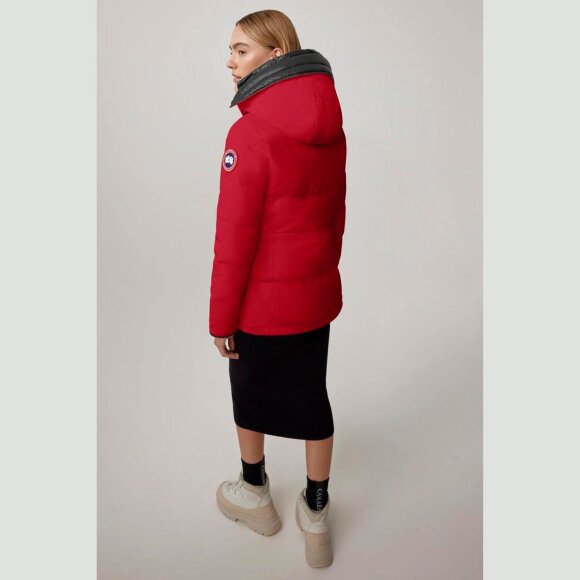 CANADA GOOSE - CANADA GOOSE DAME PARKA W CHELSEA PARKA 