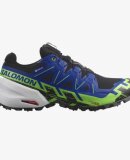 SALOMON - SALOMON UNISEX UDENDØRS LØBESKO MED PIGGE U SPIKECROSS 6 GTX