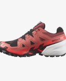 SALOMON - SALOMON UNISEX UDENDØRS LØBESKO MED PIGGE U SPIKECROSS 6 GTX