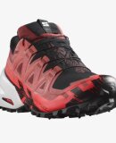 SALOMON - SALOMON UNISEX UDENDØRS LØBESKO MED PIGGE U SPIKECROSS 6 GTX