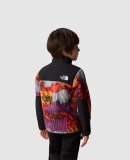 THE NORTH FACE - THE NORTH FACE FLEECEJAKKE TIL BØRN KIDS DENALI JACKET