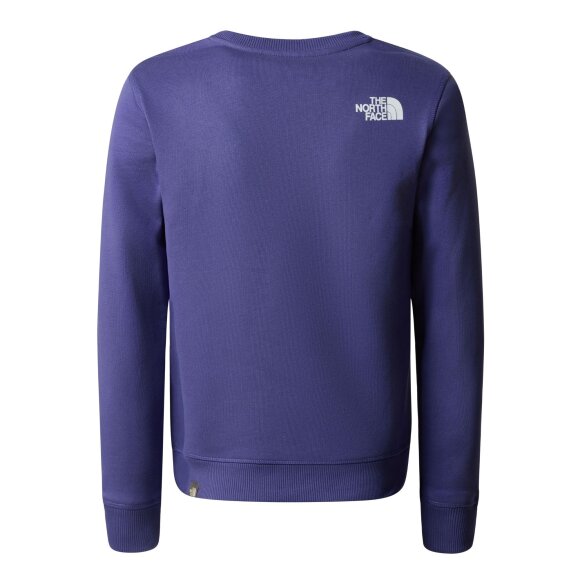 THE NORTH FACE - THE NORTH FACE SWEATSHIRT TIL BØRN TEEN REDBOX CREW