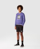 THE NORTH FACE - THE NORTH FACE SWEATSHIRT TIL BØRN TEEN REDBOX CREW