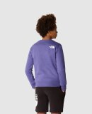 THE NORTH FACE - THE NORTH FACE SWEATSHIRT TIL BØRN TEEN REDBOX CREW