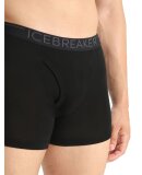 ICEBREAKER  - ICEBREAKER HERRE MERINO BOXERS M 175 EVERYDAY BOXERS W/FLY