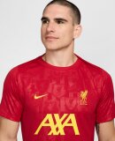 NIKE - M LFC MNK DF ACDPR SSTOP