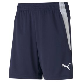 PUMA DENMARK - JR TEAMLIGA TRAINING SHORT