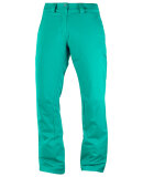 SALOMON - SALOMON SKIBUKSER W STORMPUNCH PANT 